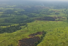 Karhutla di OKU, Terjadi di 2 Titik Dalam Sepekan