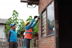 Konsumsi Listrik Nasional Tumbuh, PLN Catat Penjualan 317,69 TWh di 2025