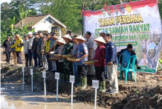 Tanam Perdana Cetak Sawah Rakyat 2025: OKU Timur Targetkan 1 Juta Ton Gabah
