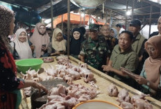 Antisipasi Lonjakan Harga, Pantau Pasar hingga Distributor