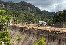 Bukan Sekadar Pembangkit Listrik Hijau, PLTA Sipansihaporas Cegah Banjir Kayu saat Bencana Sumatra