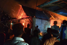 Ditinggal ke Kebun, Rumah Warga di OKU Selatan Ludes Terbakar