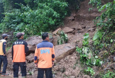 BPBD OKU Pulihkan Akses Jalan Pengandonan–Ulu Ogan usai Diterpa Longsor