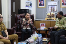 Bupati OKU Selatan Audiensi ke Kemendagri, Usulkan Penambahan TKD dan PSN 2026