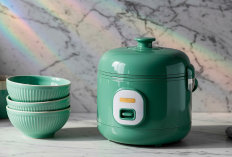 4 Rice Cooker Terbaik di Bawah Rp300 Ribu 2026, Murah Tapi Awet Banget!