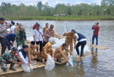 Jaga Kelestarian Perairan, Tebar 110 Ribu Benih Ikan 