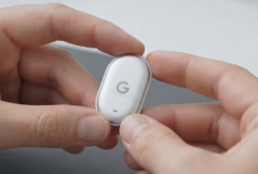 Bocoran Pixel Tag Google Terungkap dengan Harga Menggoda!