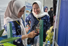 PLN ULP Tebing Tinggi Edukasi Keselamatan Listrik Lewat Miniatur Jaringan di Ajang KTNA Empat Lawang