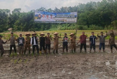 Gerakan Tanam Padi Digencarkan di OKU Selatan, Antisipasi Dampak El Nino