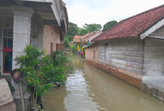 Luapan Sungai Kian Meluas, Banjir OKU Timur Menjalar Ribuan Rumah Warga