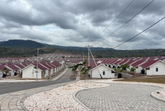 Penyelesaian Masalah Kemanusiaan Eks Pejuang Timtim Melalui Program Redistribusi Tanah