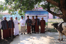 Menteri Nusron Salurkan Hewan Kurban ke Pondok Pesantren Attaqwa  