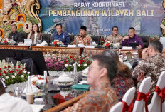 Wamen ATR/Waka BPN: RTR dan RDTR Jadi Kompas Pembangunan di Bali  ​