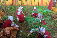 Tanamkan Kemandirian Pangan Sejak Dini, Ajarkan Siswa Bertani Lewat Kebun Sekolah