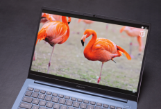 Laptop Lokal Makin Murah di 2026! Axioo, Advan, dan Zyrex Ternyata Segahar Ini