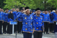 Peringati Hari HKN, Wabup Misnadi Tegaskan ASN OKU Selatan Harus Perkuat Pelayanan Publik