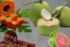 Tak Hanya Obat, Ini Daftar Makanan yang Membantu Mempercepat Pemulihan Demam Berdarah