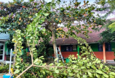 Sambut Ramadan 1447 H, Gelar Gotong Royong Bersihkan Lingkungan Sekolah