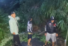 Hujan Deras Picu Longsor dan Jembatan Putus di OKU Selatan