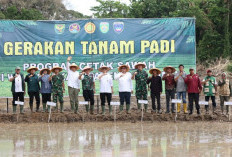 Dukung Swasembada Pangan Nasional, OKU Timur Optimalkan Lahan Rawa dan Cetak Sawah
