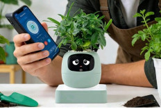 Smart Planter: Pot Tanaman Pintar yang Bisa Menyiram Sendiri, Worth It?