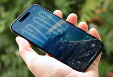 Update Harga iPhone iBox Januari 2026 Dari Rp 8 Jutaan Sampai Rp 25 Jutaan