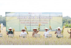 Dukung Pemanfaatan Kalium Humat Dongkrak Produktivitas Pertanian