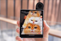 HP Mungil iKKO MindOne Pro: Spesifikasi, Harga, dan Cocok untuk Siapa?