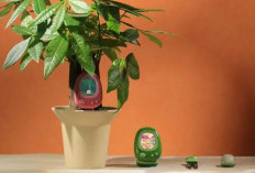 Senso PlantSenso, Gadget Tamagotchi yang Bikin Tanaman Kamu Nggak Gampang Mati Lagi