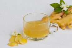 Tips Minuman Sederhana Agar Tidak Mual Saat Perjalanan Jauh