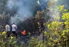 Kebakaran Hanguskan Sekitar 4 Hektare Lahan di Jalur PLTU Terusan Baturaja