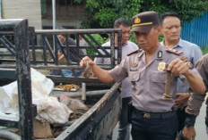 “Rayap Besi” Rel PT KAI di OKU Diciduk Polisi