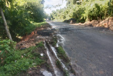 Akses Jalan Putus di OKU Pulih, Mobilitas Warga Kembali Lancar
