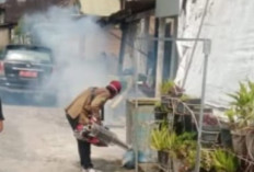 Waspada DBD! Puskesmas Buay Pemaca Imbau Warga Terapkan Gerakan 3M Plus