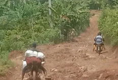 Jalan Berlumpur Saat Hujan, Warga Menanti Perbaikan