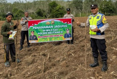 Polisi Turun ke Lahan Kawal Penanaman Jagung
