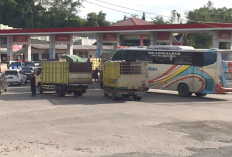 Pertamina Pastikan Penyaluran Biosolar di OKU Selatan Tetap Aman di Tengah Lonjakan Konsumsi