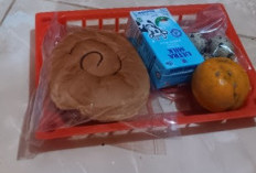 Program MBG di OKU Selatan Disorot, Menu Dinilai Jauh dari Standar Gizi