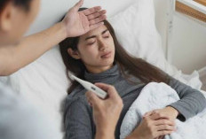 Demam Berdarah Bisa Sembuh di Rumah? Ini Syarat dan Cara Aman Merawatnya