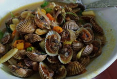 Olahan Kerang Dara Lezat dan Bernutrisi, Favorit Seafood Nusantara