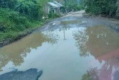 Jalan Muaradua–Kisam Rusak Parah, Warga OKU Selatan Kian Resah