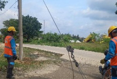 PLN ULP Baturaja Respon Laporan Warga, Perbaiki Posisi Kabel Rendah