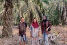 Menyusuri Perkebunan Sawit dan Karet, Mantri BRI Menjaga Akses Keuangan di Sumatera Selatan