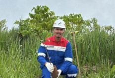 PGE Lumut Balai Tanam 2.218 Pohon, Perkuat Hutan dan Jaga Keberlanjutan Energi Panas Bumi