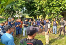 Warga Gunung Kuripan Geruduk PT AOC, Tagih Janji Kerja dan Kompensasi
