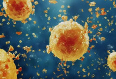 Flu Babi (H1N1): Penyakit Menular yang Pernah Jadi Wabah, Ini Fakta dan Cara Mencegahnya